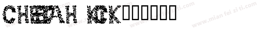 cheetah kick字体转换